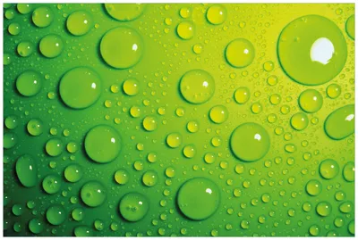 Produktbild von Wallario Wandbild aus Acryl, 90 x 60 cm, freischwebende Optik - Wassertropfen auf Grün