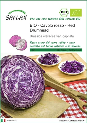 Immagine prodotto di SAFLAX  -- Cavolo rosso - Red Drumhead - 250 semi - Brassica
