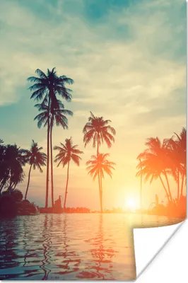 Produktbild von MuchoWow® Poster Meer - Sonnenuntergang - Palme - Wolken 40x60 cm - Plakate für die Wand - Poster Babyzimmer