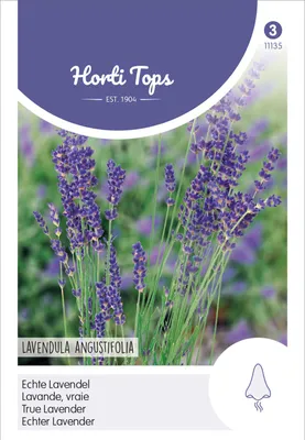 Produktbild von Echter Lavendel | Lavendelsamen von Hortitops