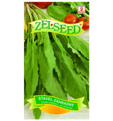 Produktbild von Samen - Sauerampfer