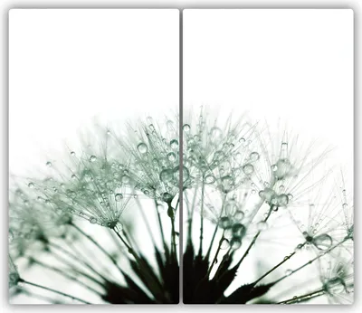 Produktbild von Tulup Glas-Herdabdeckplatte - 2x30x52cm - Glaskeramikkochfeld-Abdeckung Spritzschutz Zweiteilig Pusteblume Samen