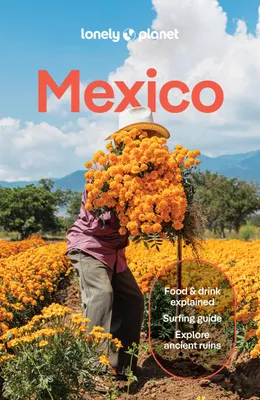 Zdjęcie produktu dla Lonely Planet Mexico