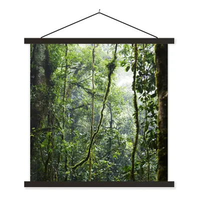 Produktbild von MuchoWow® Textilposter Tropischer Regenwald 40x40 cm mit schwarzem Rahmen - Fotos