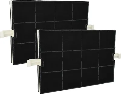 Two black charcoal filters with white plastic clips for attaching them.