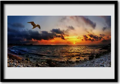 Produktbild von Bild 70x50 MDF-Rahmen Wandkunst Sea Gull Strand-Landschaft
