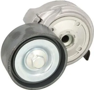 Obrázok produktu pre BTA B05-01-050 Napínacia kladka klinového remeňa pre MAN TGA, priemer 74 mm