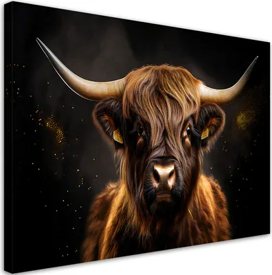 Produktbild von Leinwandbild Schottische Kuh Glamour 100x70 Feeby Schwarz bild für die wand bereit zum aufhängen