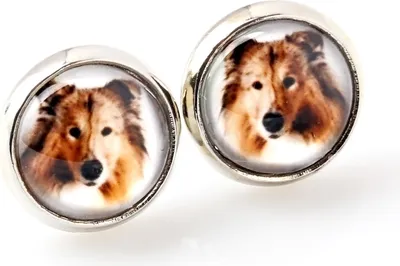 Image de Colie à poil dur - Tes boucles d'oreilles sont faites à la main, photo personnelle, bijoux de la marque Art.-Dog.