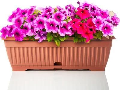 Produktbild von BigDean Blumenkasten mit abnehmbarem Untersetzer - Terracotta 50 cm lang aus bruchsicherem Kunststoff - Balkonkasten Pflanzkasten mit Wasserspeicher