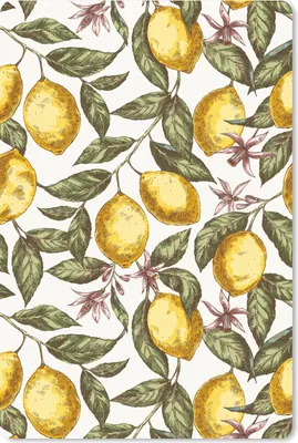 Produktbild von MuchoWow® Mauspad Mousepad Muster - Blumen - Zitrusfrüchte 18x27 cm - Mousepads - Maus Mat - Pad - Mausunterlage