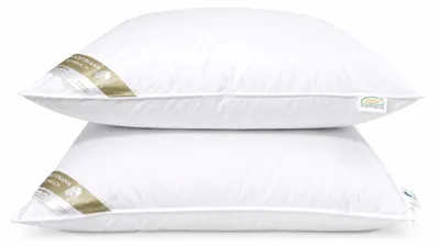 Produktbild von 2 Stück Betten Hofmann Daunenkissen Kopfkissen 80x80 Kissen 100% neue Daunen 450g weich
