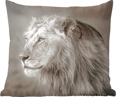 Produktbild von MuchoWow® Zierkissen Sofakissen Wohnzimmer Dekokissen 60x60 cm Löwe - Wilde Tiere - Schwarz - Sitzfläche - Foto Polster