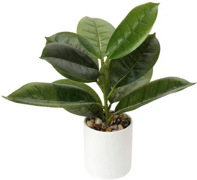 Image de Plante tropicale artificielle Monstera en pot, pour la décoration de la maison ou du bureau