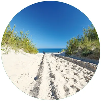 Produktbild von Wallario Premium Glasbild, freischwebende Optik, kräftige Farben, rund 50cm Durchmesser, Motiv Auf dem Sandweg zum Strand - Blauer Himmel über dem Meer