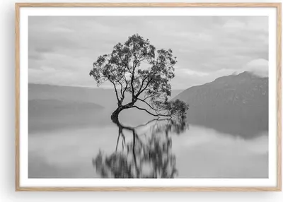Produktbild von Gerahmtes Poster - Rahmen in heller Eiche - Baum Symmetrie See - 100x70 cm - Wand Bild - Wanddeko - Wandbilder - Kunstposter - Wandposter - Bilderrahmen - Bilder - Kunstdruck - P2NAA100x70-4514
