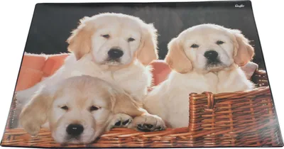 Obrázek produktu pro Läufer 46581 Schreibunterlage Motiv Hunde