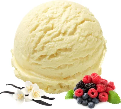 Produktbild von Vanille Waldfrucht Speiseeis Pulver 10 kg