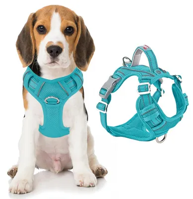 Immagine prodotto di Imbracatura per cani BARKBAY, che impedisce di tirare, con clip frontale, resistente e riflettente