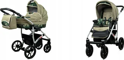 Image de BabyLux® Largo | Kit 2en1 | Fern Leaf | Combination Kitten | Kitten Set | Buggy +