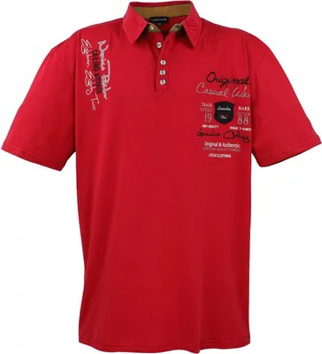 Productafbeelding van Overgroot, trendy polo-shirt met korte mouwen, merk LAVECCHIA, kleur antraciet, maat 4XL
