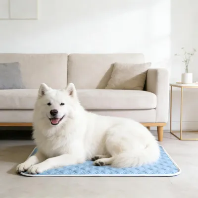Produktbild von Kühlmatte für Hunde und Katzen
