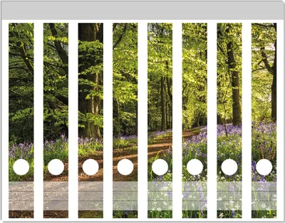 Produktbild von Wallario Ordnerrücken Sticker, selbstklebend für schmale Ordner, 8 Stück, Motiv Blaues Hasenglöckchen im Sommerwald