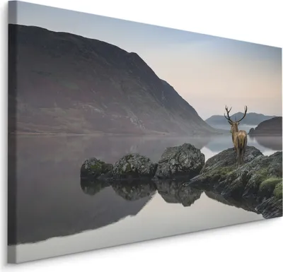 Produktbild von Fabelhafte Canvas LEINWAND BILDER 90x60 cm XXL Kunstdruck Hirsch See Nebel Berge