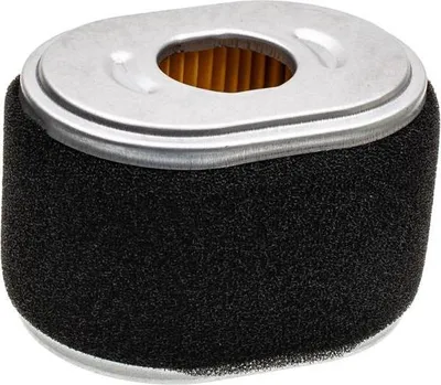 Immagine prodotto di Filtro aria B&S DOV PARTE ORIGINALE 590601