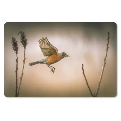 Produktbild von MuchoWow® Mauspad Mousepad Rotkehlchen - Flügel - Natur 27x18 cm - Mousepads - Maus Mat - Pad - Mausunterlage - Büroartikel - Desk Matten