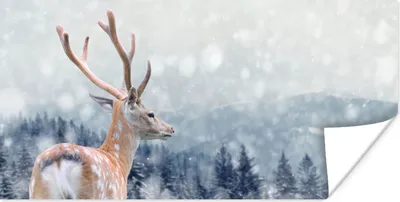 Produktbild von MuchoWow® Poster Winter - Hirsche - Tiere 40x20 cm - Poster für die Wand - Poster Schlafzimmer