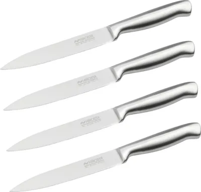 Image de Set de 4 couteaux de cuisine universels 24 cm en inox Nirosta Star