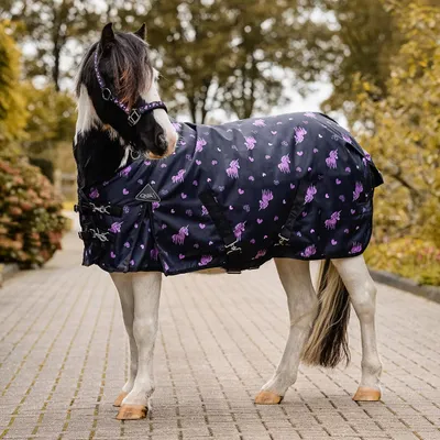A horse wearing a blanket in an outdoor setting.