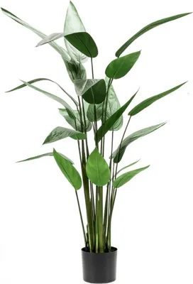Obrázek produktu pro Smaragdová umělá rostlina Heliconia zelená 125 cm 419837