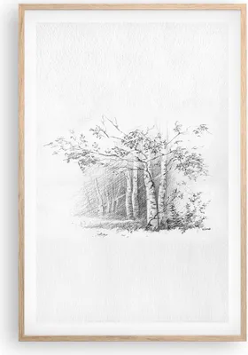 Produktbild von Gerahmtes Poster - Rahmen in heller Eiche - Skizze Wald Birke - 61x91,5 cm - Wand Bild - Wanddeko - Wandbilder - Wandposter - Bilderrahmen - Bilder - Kunstdruck - Wandbild - P2NPA61x91-4280
