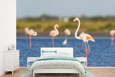 Produktbild von MuchoWow® Fototapete für Wohnzimmer oder Schlafzimmer Wandtapete Vinyl Motivtapete Eine Gruppe von Flamingos im Wasser - 450x300 cm - Gemusterte