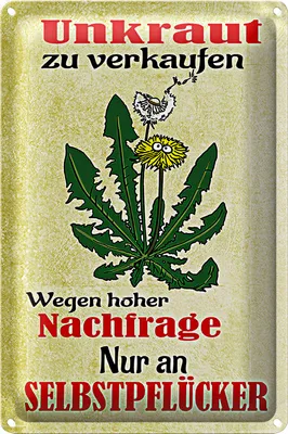 Produktbild von Blechschild Spruch 20x30cm Unkraut verkaufen Selbstpflücker