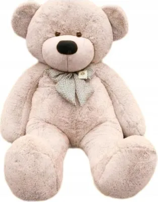 A large, light gray teddy bear sitting upright against a white background.