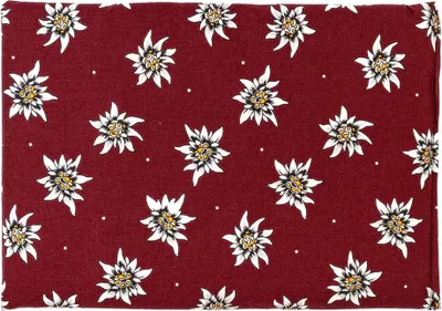 Produktbild von Rapssamenkissen 30 x 20 cm, Blume-Edelweiß - Als Wärmekissen & Kältekissen - Körnerkissen für Mikrowelle und Backofen - Rapskissen, 30x20cm