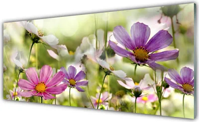 Produktbild von Acrylglasbilder 125x50 Wandbild Druck Blumen Natur