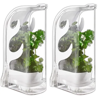 Produktbild von 2er Set Kräuter Frischhaltebox Kunststoff Schnittkräuterbox Kräutercontainer Kräuterbox Küche Kräuterdose Kräuteraufbewahrung Kühlschrank