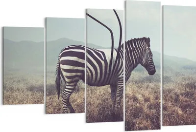 Produktbild von Bild auf Leinwand - Leinwandbild - Zebra Tier Wiese - 150x100cm - Wand Bild - Wanddeko - Leinwanddruck - Bilder - Kunstdruck - Wanddekoration - Leinwand bilder - Wandkunst - EG150x100-3959