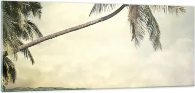 Produktbild von Bilder auf glas - Einteilig - Palme Strand Insel - 100x40cm - Glasbilder - Wandbilder - Bilder - zum Aufhängen bereit - Wanddekoration aus Glas - Glas Bilder - Wandbild auf Glas - GAB100x40-4154