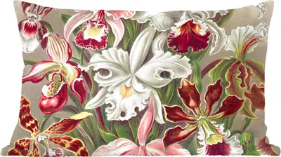 Produktbild von MuchoWow® Zierkissen Sofakissen Wohnzimmer Dekokissen 50x30 cm Blumen - Ernst Haeckel - Jahrgang - Orchidee - Wohnzimmerdekoration - Polster mit Photo