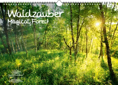 Produktbild von Waldzauber DIN A3 - Immerwährender Kalender  Wald - Seelenzauber