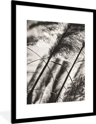 Produktbild von MuchoWow® Gerahmtes Poster Pampasgras - Schwarz - Weiß - Pflanze 60x80 cm - Poster mit Schwarzem Bilderrahmen Wandposter Rahmen Foto Bilder - Wohnzimmer - Dekorationen - Prämie