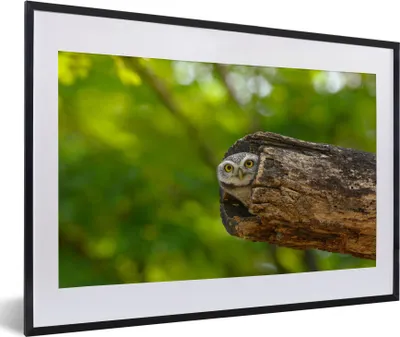Produktbild von MuchoWow® MuchoWow® Gerahmtes Poster Eule - Baby - Baum 60x40 cm - Poster mit zchwarzem Bilderrahmen - Schlafzimmer - Plakat in Rahmen - Drucken