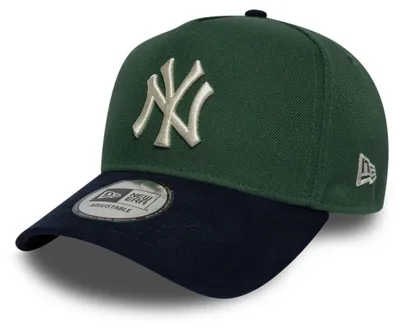 Imagen del producto de New Era Gorras 60960215