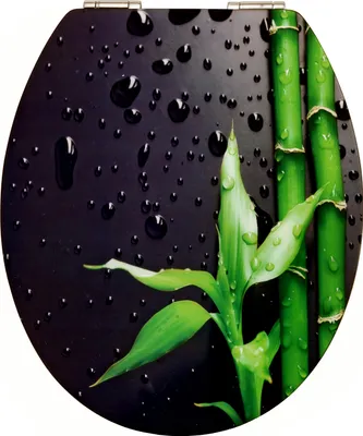 Immagine prodotto di CORNAT Art of Acryl Sedile WC, superficie in acrilico lucido, anima in legno, nero pianoforte, KSDSC304