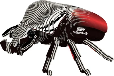 Produktbild von Eugy 3D Puzzle - Goliathkäfer - Tierpuzzle - Kreatives Spielzeug